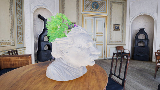 Einstein Flowerpot STL File: 3D Printing Genius Decor
