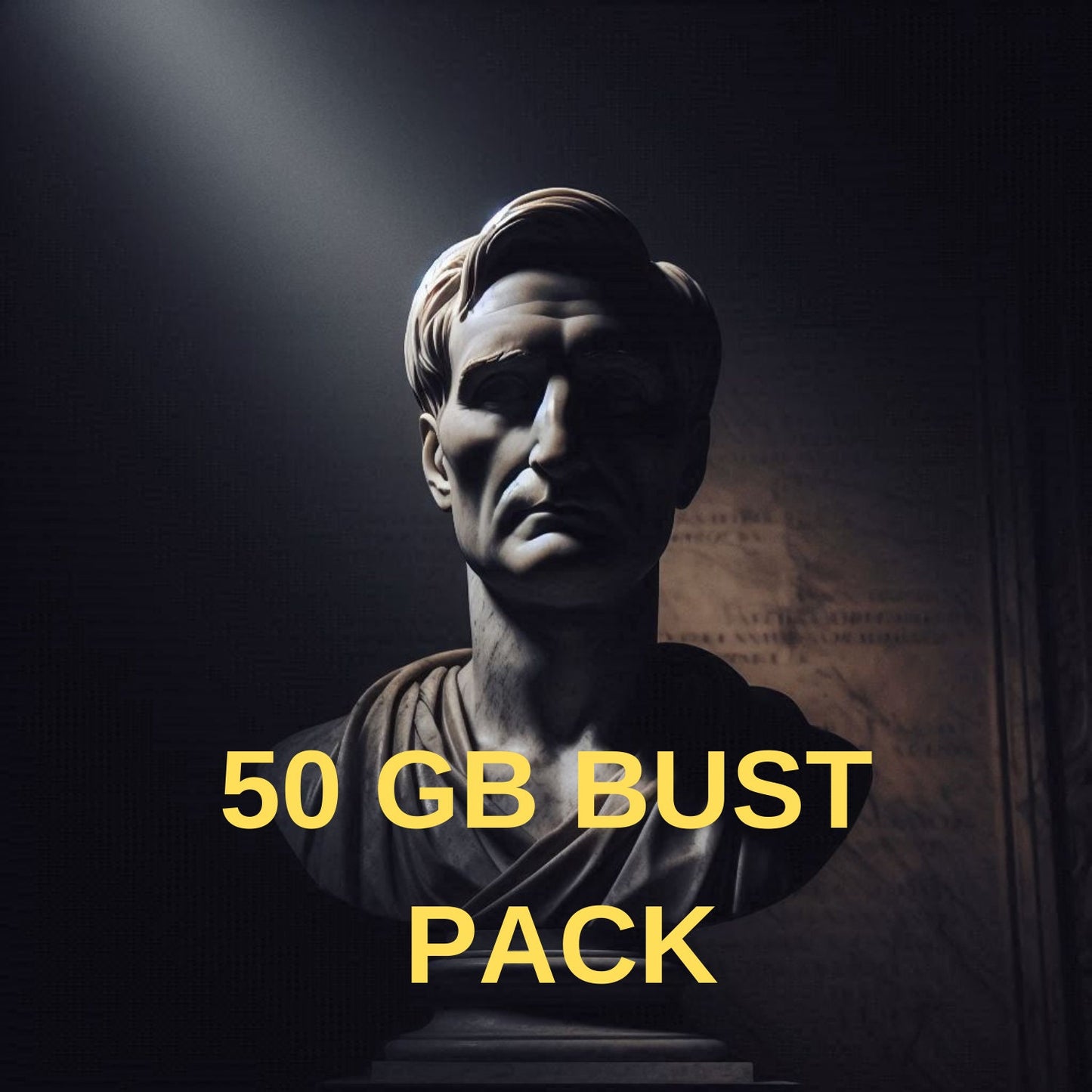 50 gb Bust Stl Package