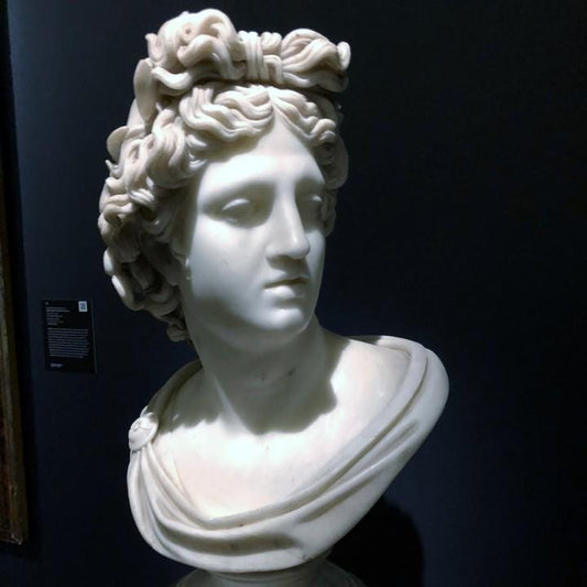 Apollo Belvedere Bust | Greek God of Art Head | Vatican Museum | 12k Resin or Marble composite PLA