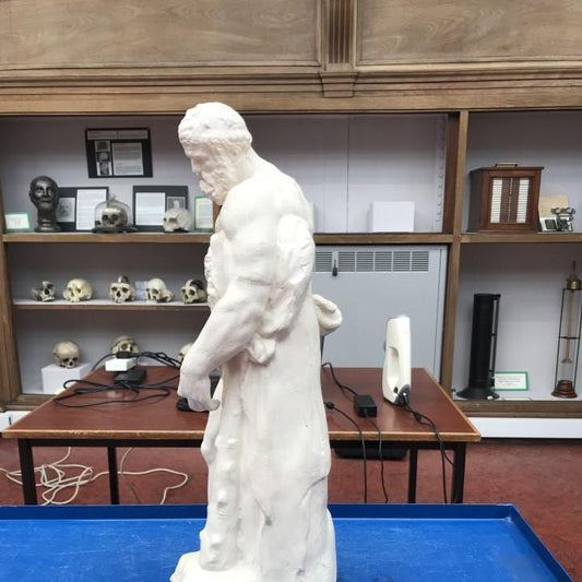 Farnese Hercules Bust | The Weary Hercules | Greek Hero Mythology | 12k Resin or Marble composite PLA