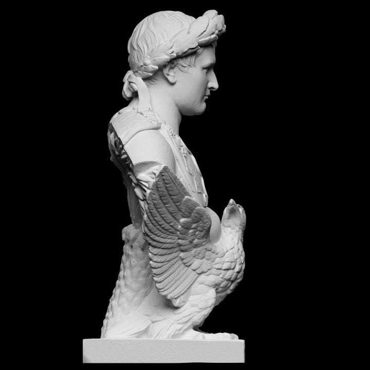 Napoleon Bonaparte Bust | French Emperor Statue | Neoclassical Decor | 12k Resin or Marble composite PLA