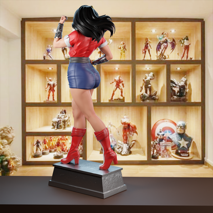 Wonder Woman Housewife 1/6 Scale Hand Painted Collectible Figure