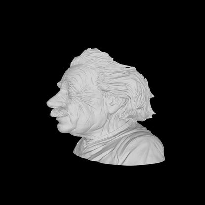 Einstein Flowerpot STL File: 3D Printing Genius Decor