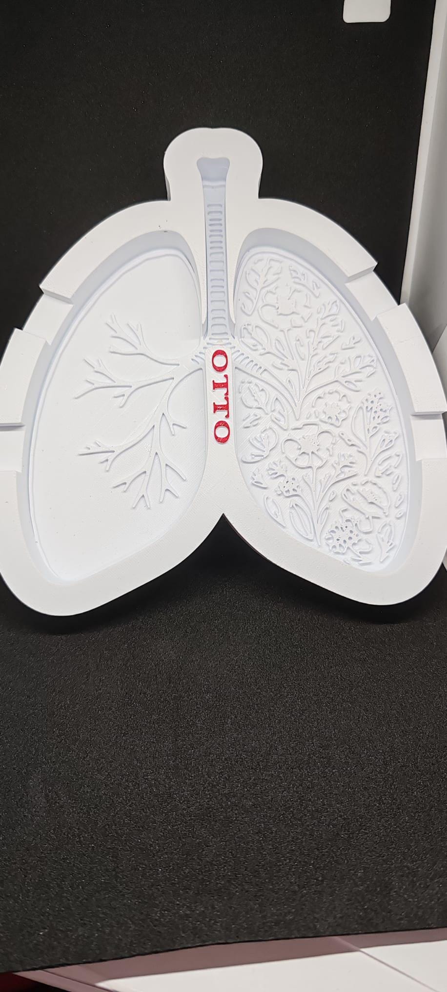 Quit Smoking Lung Ashtray | Stop Smoking Motivation Gift + Free E-book