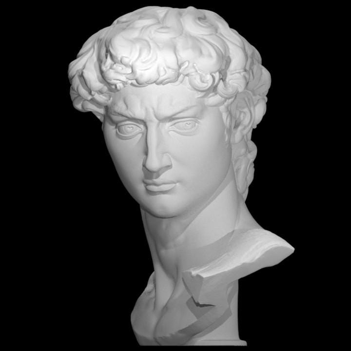 Michelangelo’s David Head – 12K Resin Classical Renaissance Art Sculpture