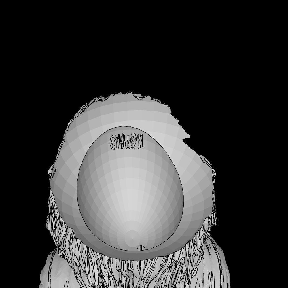 Einstein Flowerpot STL File: 3D Printing Genius Decor