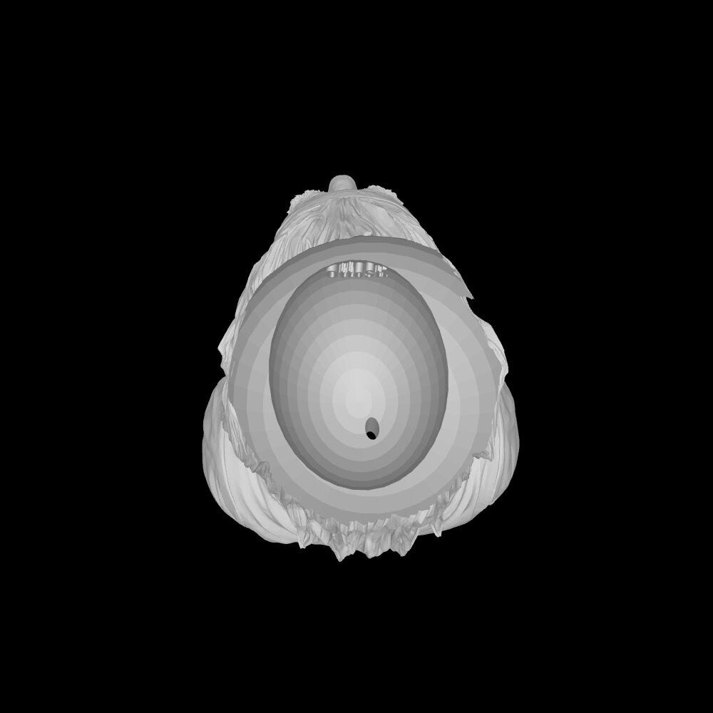 Einstein Flowerpot STL File: 3D Printing Genius Decor