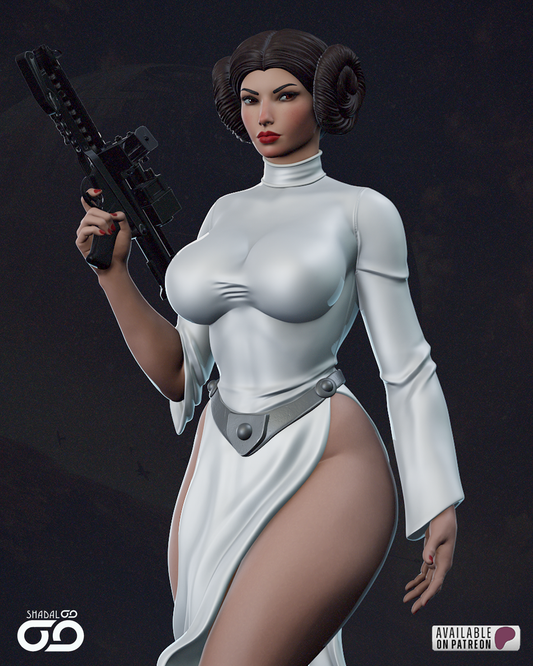 Princess Leia 1/6 Scale Hand Painted Handmade Collectible Figure Statue