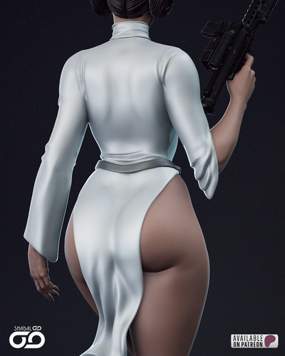 Princess Leia 1/6 Scale Hand Painted Handmade Collectible Figure Statue