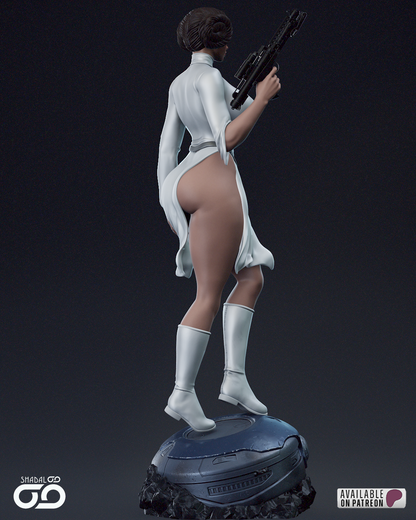 Princess Leia 1/6 Scale Hand Painted Handmade Collectible Figure Statue