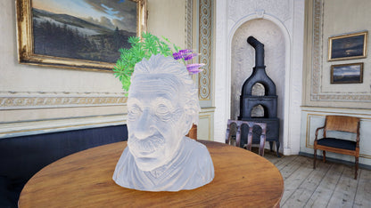 Einstein Flowerpot STL File: 3D Printing Genius Decor