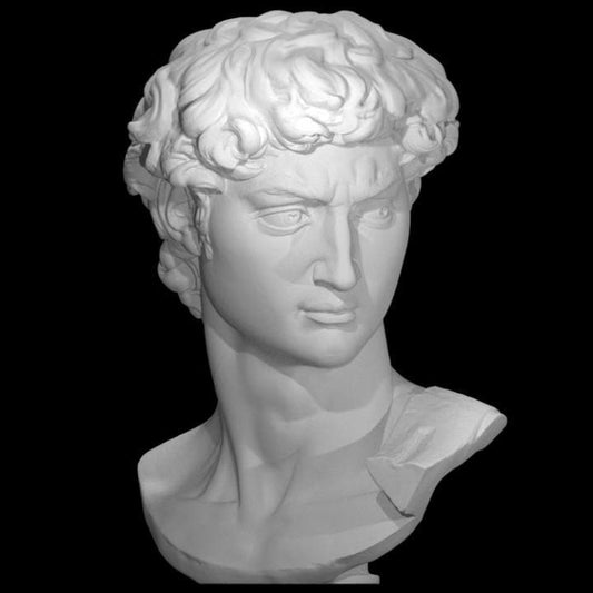 Michelangelo’s David Head – 12K Resin Classical Renaissance Art Sculpture
