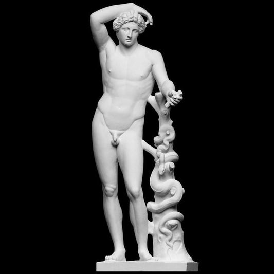 Lycean Apollo Sculpture: 12K Resin Greek God Bust