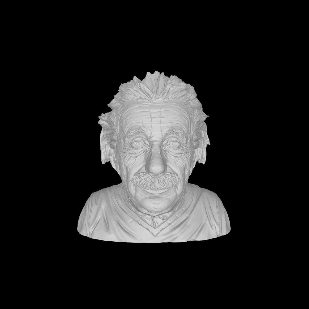 Einstein Flowerpot STL File: 3D Printing Genius Decor