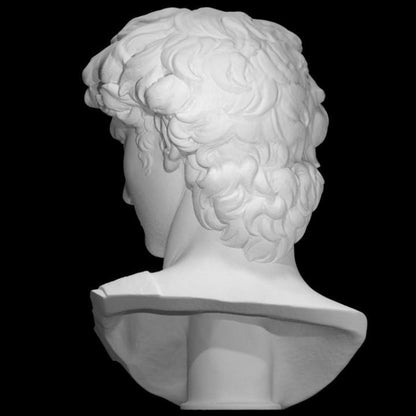 David Bust - Michelangelo's Statue Head | Renaissance Art Home Decor | Classic Sculpture Replica | 12k Resin or Marble composite