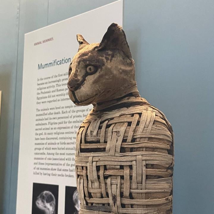 Mummified Cat Statue - British Museum Replica | Roman Period Egypt | Gothic Altar Piece | 12k Resin or Marble composite