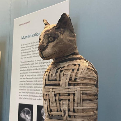 Mummified Cat Statue - British Museum Replica | Roman Period Egypt | Gothic Altar Piece | 12k Resin or Marble composite