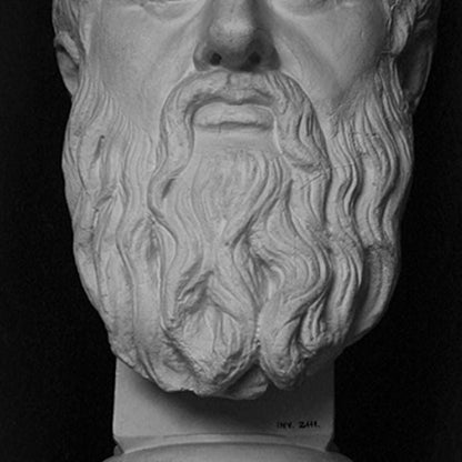 Bust of Plato - Greek Philosopher | Ancient Philosophy Decor | The Academy Statue | 12k Resin or Marble composite