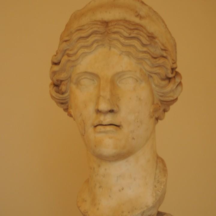 Head of Hera Bust | Queen of the Gods | Greek Goddess Mythology Decor | 12k Resin or Marble composite