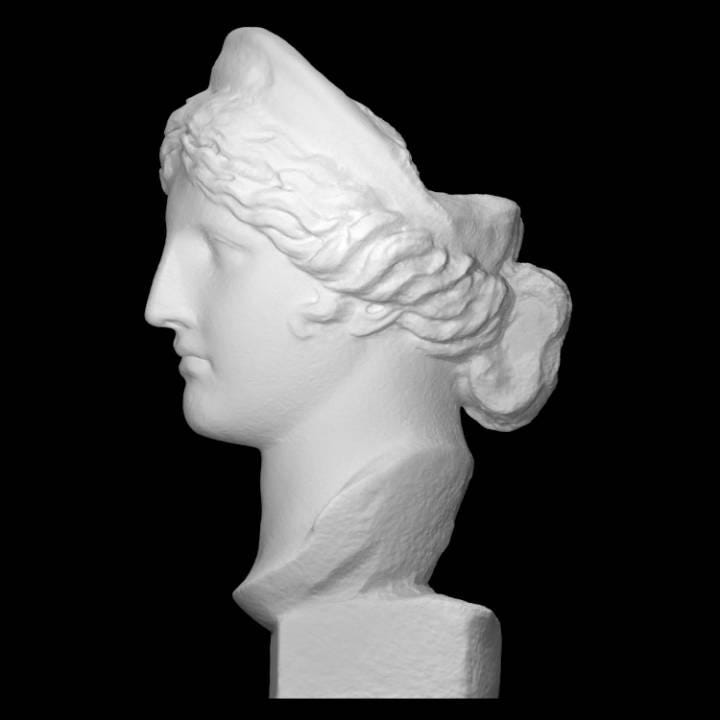 Head of Hera Bust | Queen of the Gods | Greek Goddess Mythology Decor | 12k Resin or Marble composite