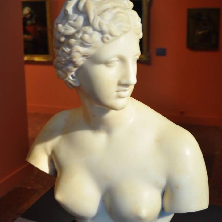 Medici Venus Bust | Uffizi Gallery Replica | Florence Renaissance Decor | 12k Resin or Marble composite