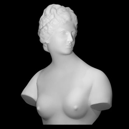 Medici Venus Bust | Uffizi Gallery Replica | Florence Renaissance Decor | 12k Resin or Marble composite