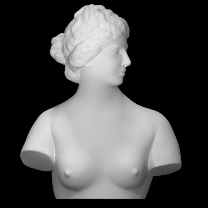 Medici Venus Bust | Uffizi Gallery Replica | Florence Renaissance Decor | 12k Resin or Marble composite