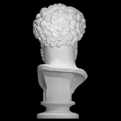Marcus Aurelius Bust | Stoic Philosopher King | Roman Emperor Statue | 12k Resin or Marble composite