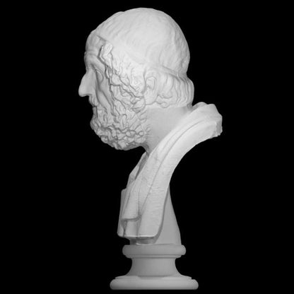 Bust of Homer | Blind Greek Poet | Iliad & Odyssey Author | 12k Resin or Marble composite
