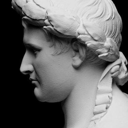 Napoleon Bonaparte Bust | French Emperor Statue | Neoclassical Decor | 12k Resin or Marble composite PLA