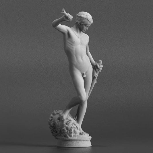David Vanquishing Goliath Statue | Biblical Hero | Renaissance Art | 12k Resin or Marble composite PLA