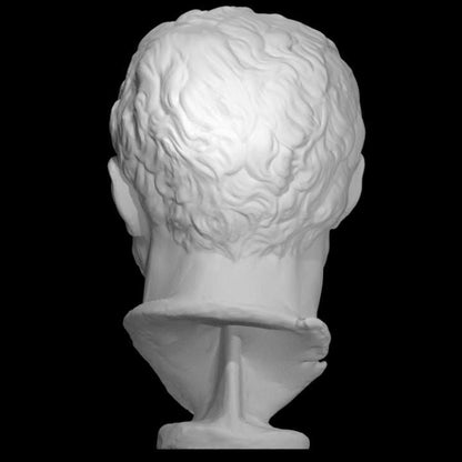 Michelangelo Bust | The Divine Artist Statue | Renaissance Master | 12k Resin or Marble composite PLA