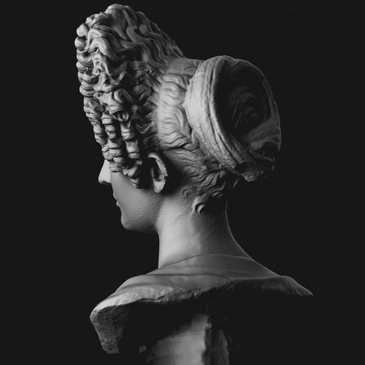 Bust of a Flavian Woman | The Fonseca Bust | Ancient Roman Hair | 12k Resin or Marble composite PLA