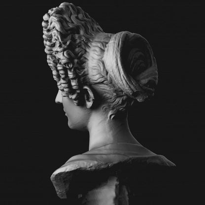 Bust of a Flavian Woman | The Fonseca Bust | Ancient Roman Hair | 12k Resin or Marble composite PLA
