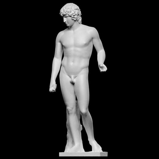 Antinous Farnese Statue | Favorite of Emperor Hadrian | Roman Art | 12k Resin or Marble composite PLA