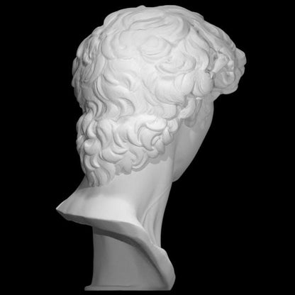 David Bust - Michelangelo's Statue Head | Renaissance Art Home Decor | Classic Sculpture Replica | 12k Resin or Marble composite