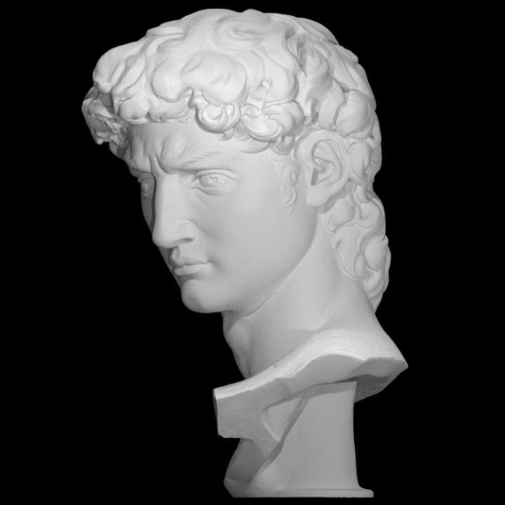 David Bust - Michelangelo's Statue Head | Renaissance Art Home Decor | Classic Sculpture Replica | 12k Resin or Marble composite