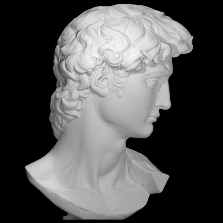 David Bust - Michelangelo's Statue Head | Renaissance Art Home Decor | Classic Sculpture Replica | 12k Resin or Marble composite