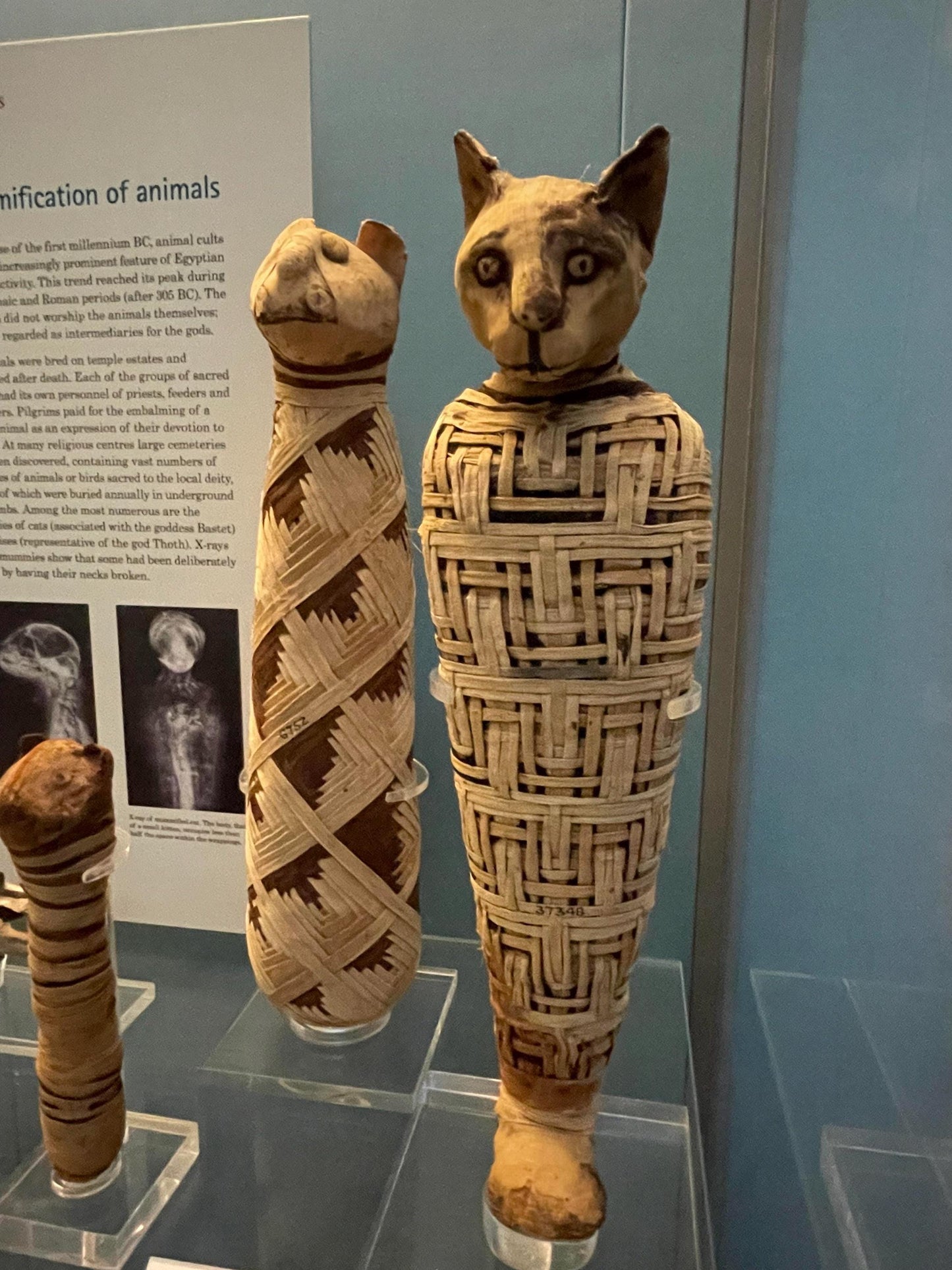 Mummified Cat Statue - British Museum Replica | Roman Period Egypt | Gothic Altar Piece | 12k Resin or Marble composite