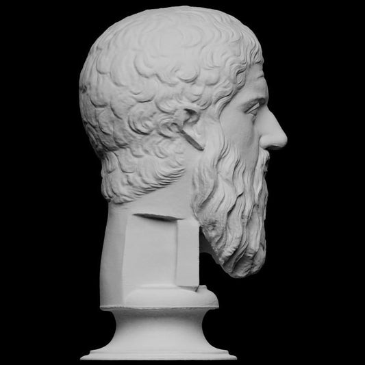 Bust of Plato - Greek Philosopher | Ancient Philosophy Decor | The Academy Statue | 12k Resin or Marble composite