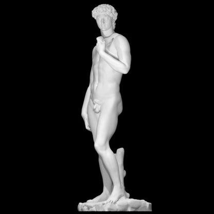 Michelangelo's David Statue | Full Body Florence Replica | Renaissance Art Home Decor | 12k Resin or Marble composite