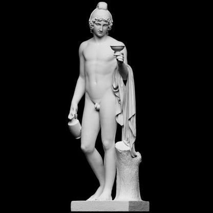 Ganymede Offering the Cup | Cupbearer of the Gods Statue | Thorvaldsen | 12k Resin or Marble composite PLA