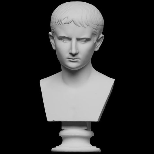 Augustus Bust | First Roman Emperor Statue | Caesar Augustus Decor | 12k Resin or Marble composite PLA