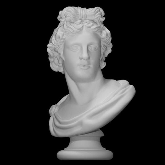 Apollo Belvedere Bust | Greek God of Art Head | Vatican Museum | 12k Resin or Marble composite PLA