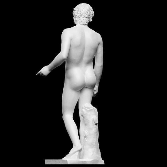 Antinous Farnese Statue | Favorite of Emperor Hadrian | Roman Art | 12k Resin or Marble composite PLA