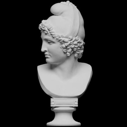 Bust of Paris by Canova | The Trojan Prince | Judgement of Paris | 12k Resin or Marble composite PLA
